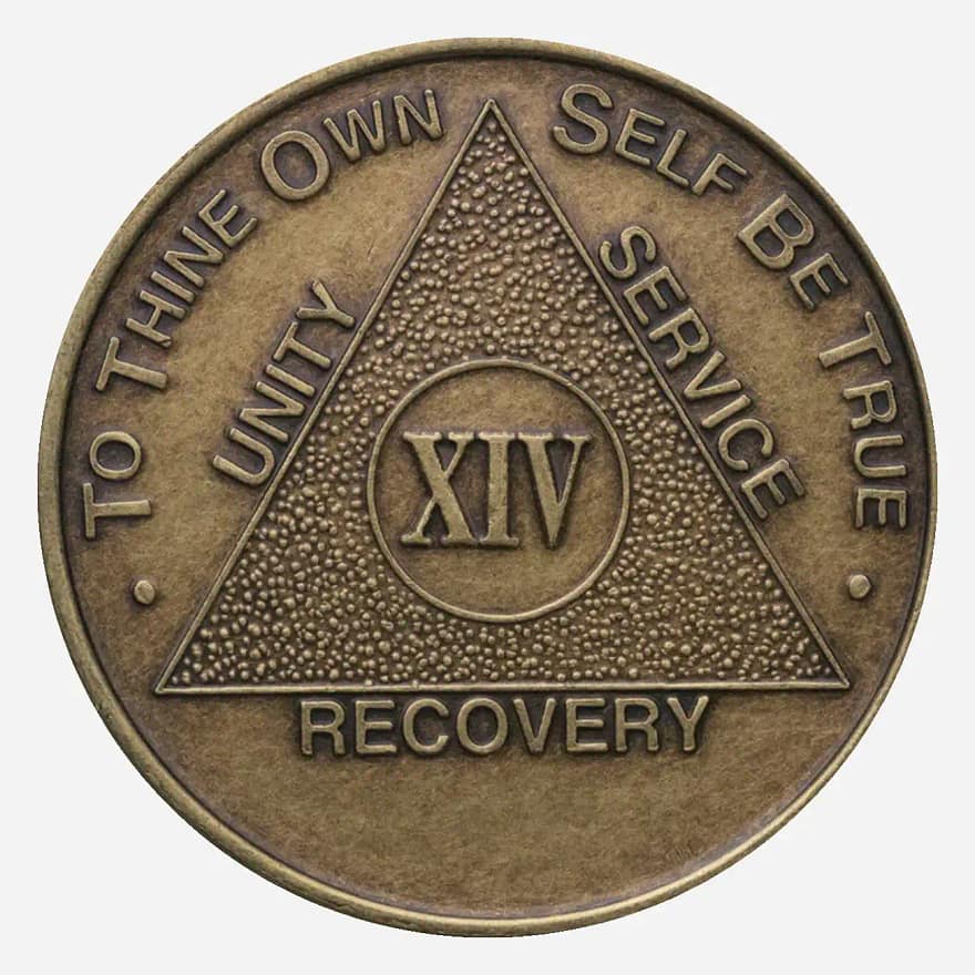 A classic bronze Alcoholics Anonymous chip (approximately 34mm) with an antique finish. The front features the iconic AA Circle and Triangle symbol, often surrounded by the words 'Unity,' 'Service,' and 'Recovery.' The outer edge displays the phrase 'To Thine Own Self Be True' at the top, and the specific sobriety milestone (24 Hours to 50 Years) at the bottom. This chip has a raised design and a tactile, durable feel.