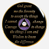 The Serenity Prayer is engraved on the back of this Purple/Diamond Crystal AA Medallion, providing a source of wisdom and strength for those navigating the complexities of recovery.